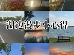 -漕湖湿地公园