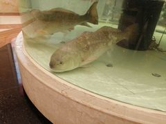 -白金汉爵大酒店(相城店)