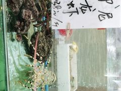 -寻味顺德·南记酒家·传统顺德菜·鱼生(广源路店)