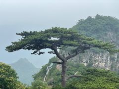 -圣莲山风景区