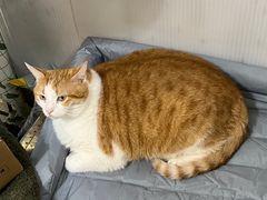 -小时光咖啡馆(北锣鼓巷店)