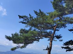 -五女山景区