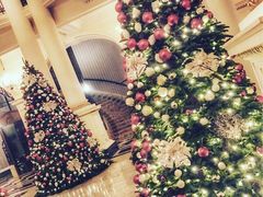 -LONG BAR 廊吧(外滩华尔道夫酒店)