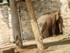 -石家庄市动物园