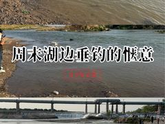 -绿堤公园