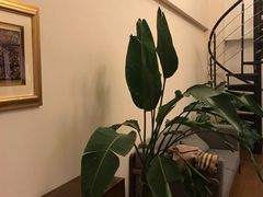 -仰生如卉推拿养生馆(酒仙桥店)