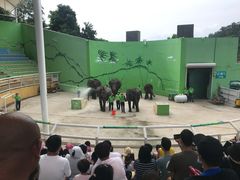 -大连森林动物园