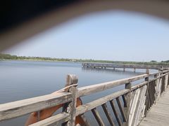 -武清南湖绿博园