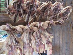 -龙潭生态旅游度假区