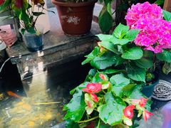 -束河人家(南锣鼓巷店)