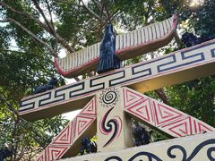-西双版纳原始森林公园