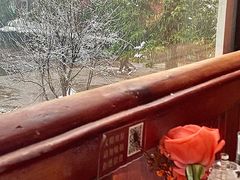 -橘洲1910花园江景西餐厅