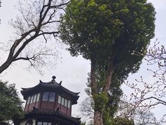 -拙政园
