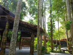 -海南槟榔谷黎苗文化旅游区