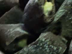 -超港·蛋糕面包(包河万达店)