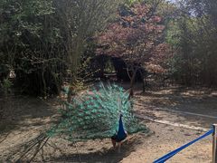 -宁波野生动物园