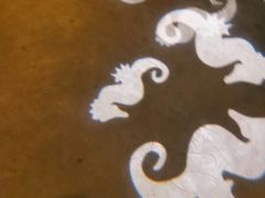 -沈阳海洋探索中心