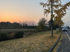 -两河城市森林公园