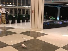 -蜈支洲岛珊瑚酒店临海阁中餐厅