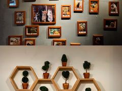 用餐区-喵园·猫主题咖啡厅·撸猫·猫咖(国贸店)