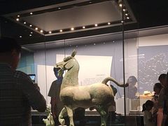 -广西壮族自治区博物馆