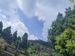 -长虫山生态公园风景林