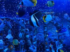 -太平洋海底世界