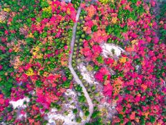 -龙口南山旅游景区