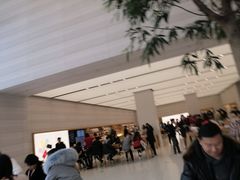 -Apple零售店(济南恒隆广场店)