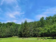 -永定河休闲森林公园