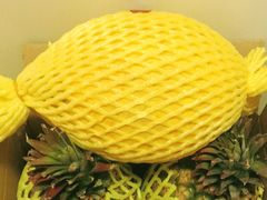 -上海龙吴水胜海发市场