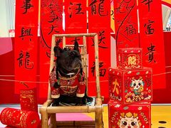 -龙湖成都上城天街