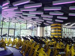 -金吉鸟健身游泳