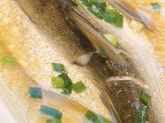 -京城小江南·北京烤鸭·江南土菜·白鱼(中关村店)