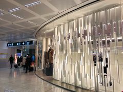 -米兰-马尔彭萨机场