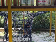 -杭州少年儿童公园