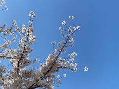-龙美术馆(西岸馆)