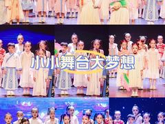 -西安小天鹅艺术团(曲江Alice店)