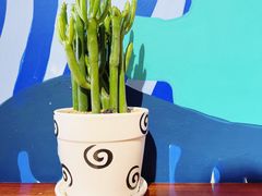 -Mesa Madre梅萨妈妈·Bintana(国贸店)