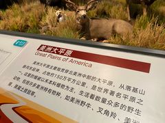 -陕西自然博物馆