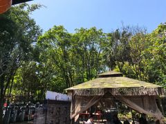-土砂锅生态山庄·非遗砂锅雅鱼