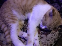 -星宿秘码(鼓浪屿老店)