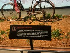 -盘龙城国家考古遗址公园