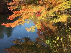 -轻井泽高原教堂