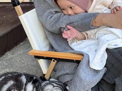 -有猫主题·治愈系猫咖(曾厝垵店)