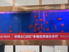 -牙博士口腔品牌连锁(杨浦店)