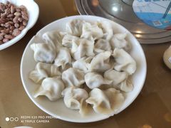 羊肉大葱水饺-闫水饺大酒楼·北京老闫靓马饺子馆