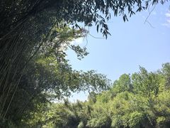 -天河潭旅游度假区