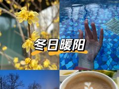 -和园景逸大酒店朗月汤泉
