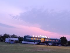 -西京湾花海